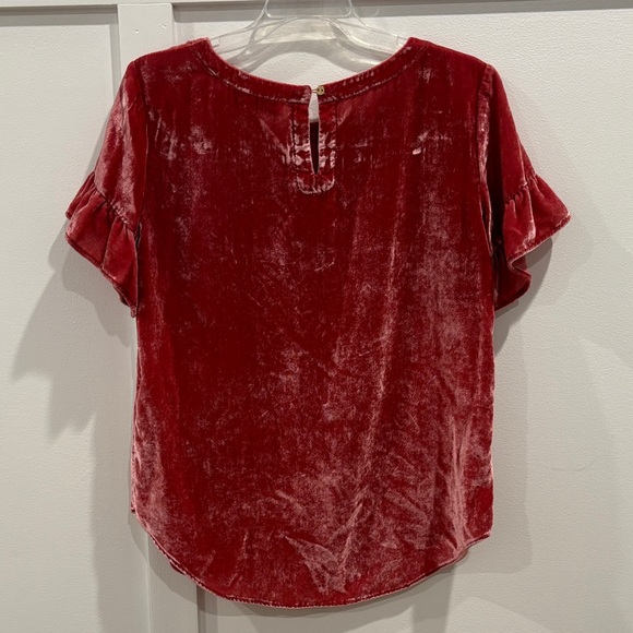 Loft Velvet Ruffle Sleeve Top - Pink - Picture 5 of 5